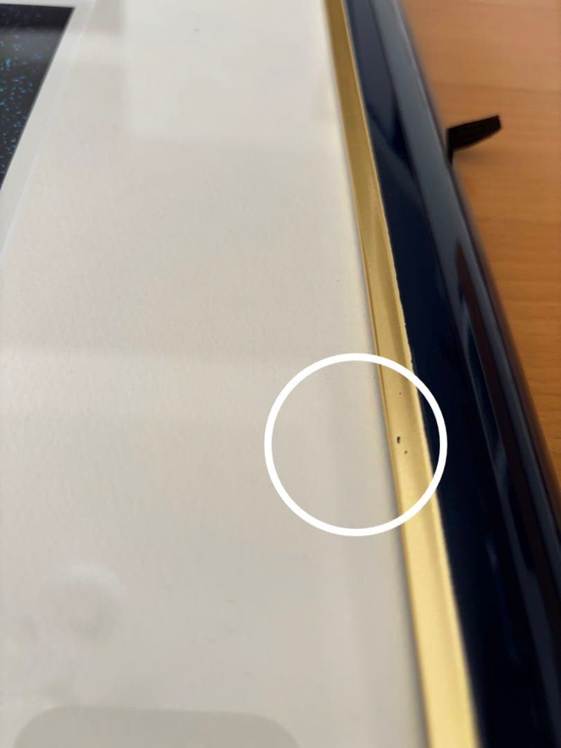 Seiji Fujishiro レフグラフ　サイン入り【線香花火】　藤城清治