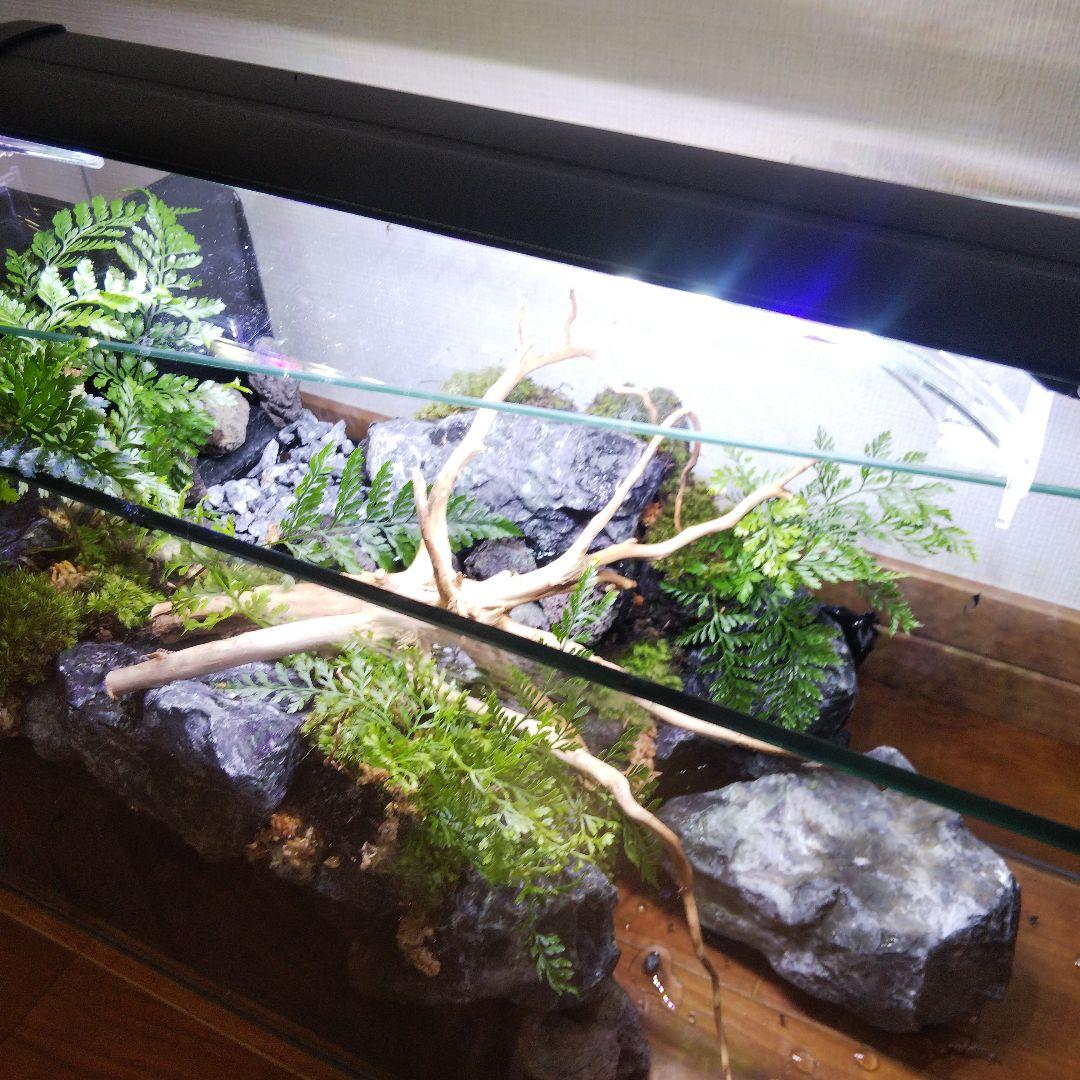 【受注生産】滝のあるアクアテラリウム　イモリウム　苔テラリウム　テラリウム
