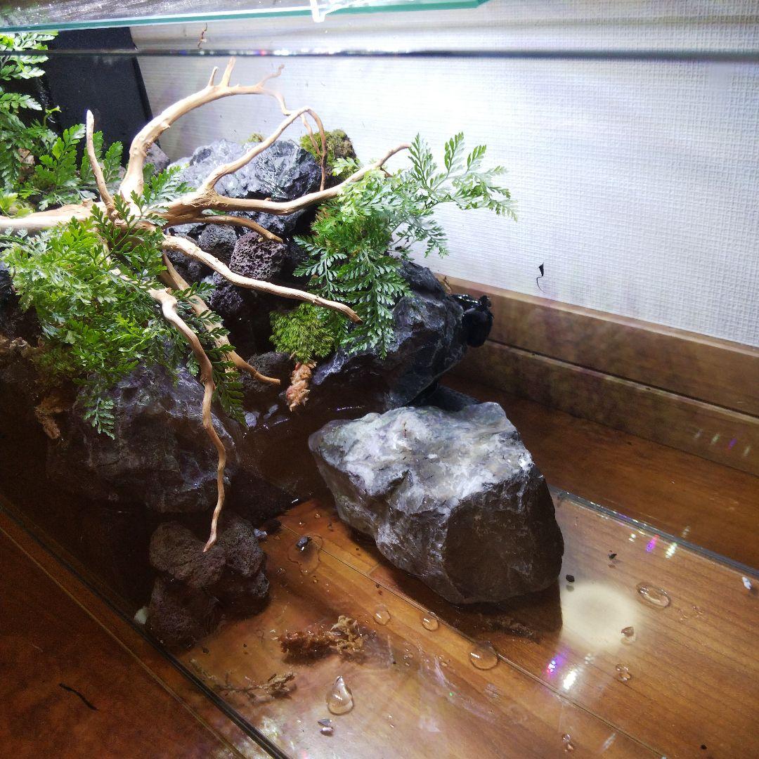 【受注生産】滝のあるアクアテラリウム　イモリウム　苔テラリウム　テラリウム