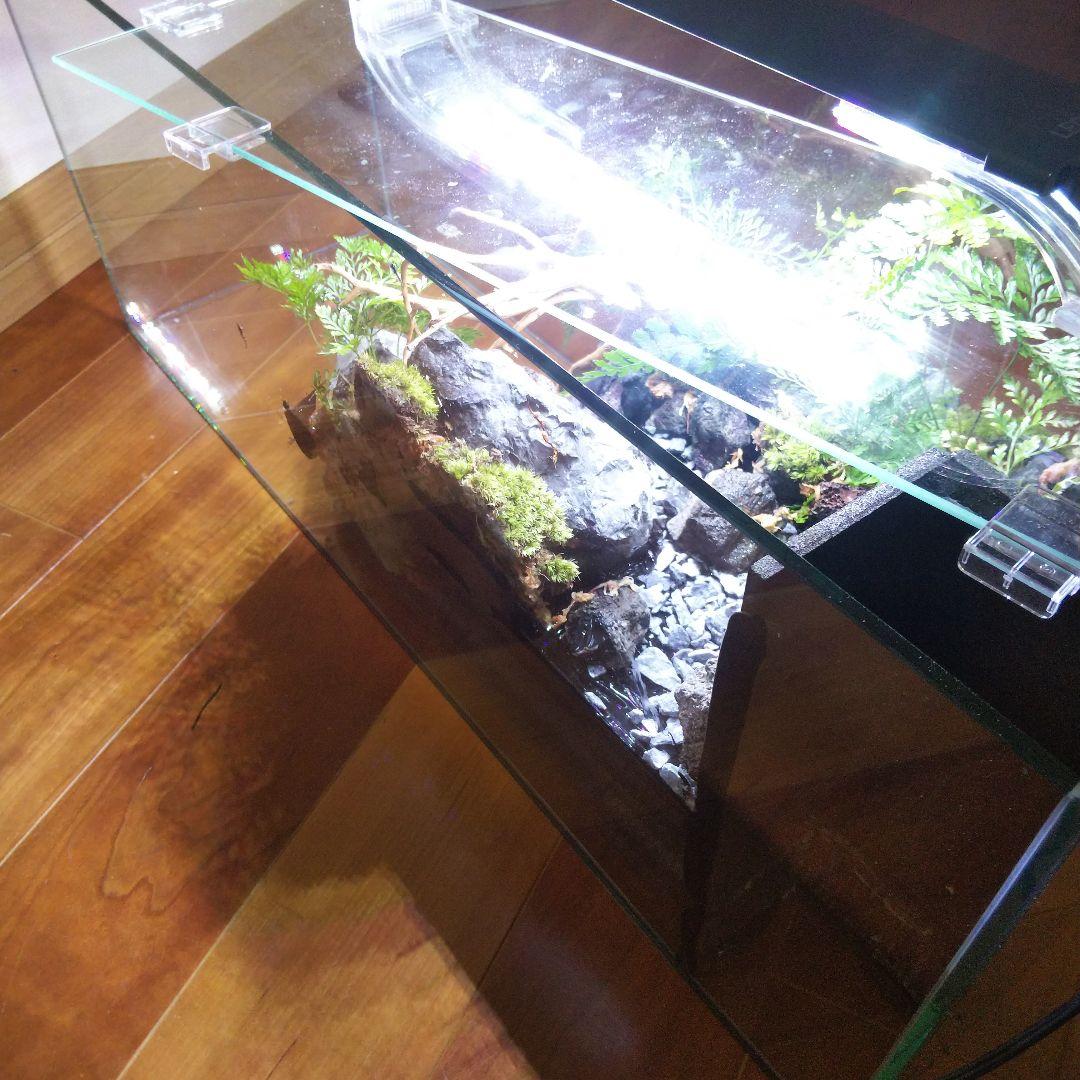 【受注生産】滝のあるアクアテラリウム　イモリウム　苔テラリウム　テラリウム