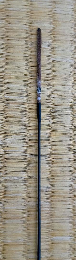 DAIWA ダイワ　モノカーボ　さわ風　硬調81