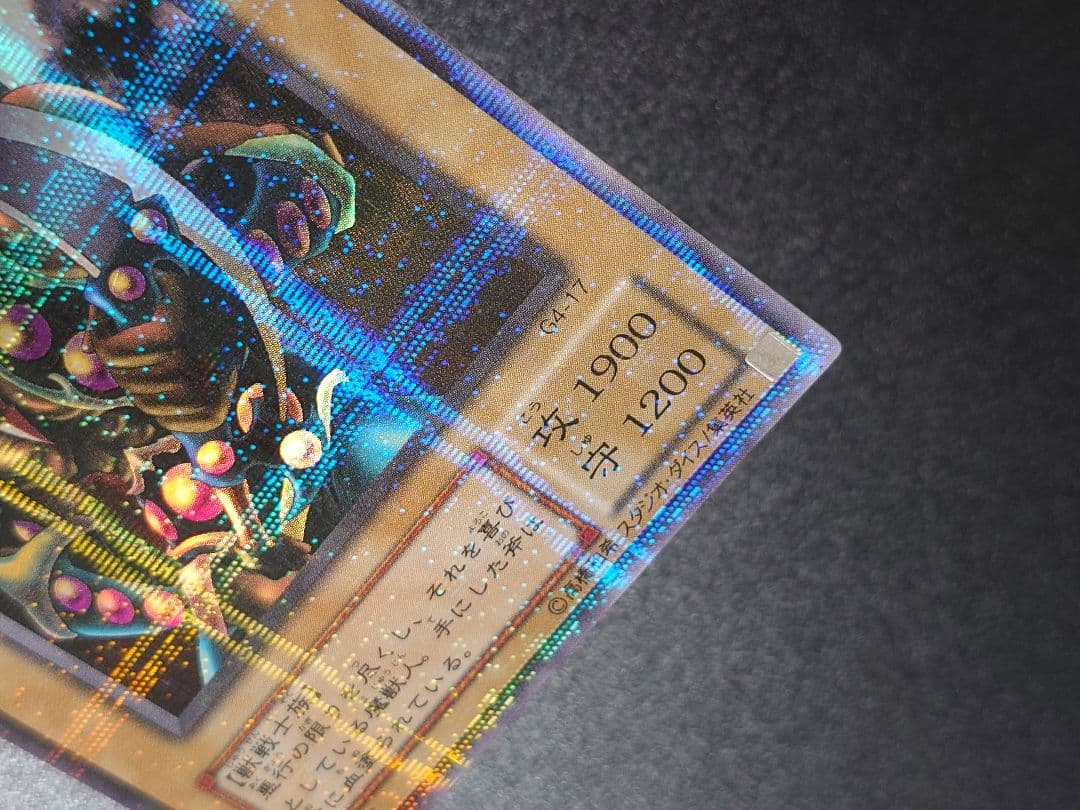 ブラッド・ヴォルス ブラッドヴォルス