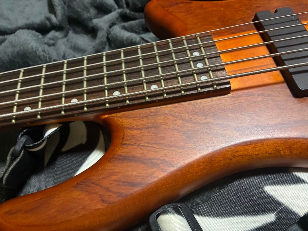 SCHECTER 5弦 stiletto studio5