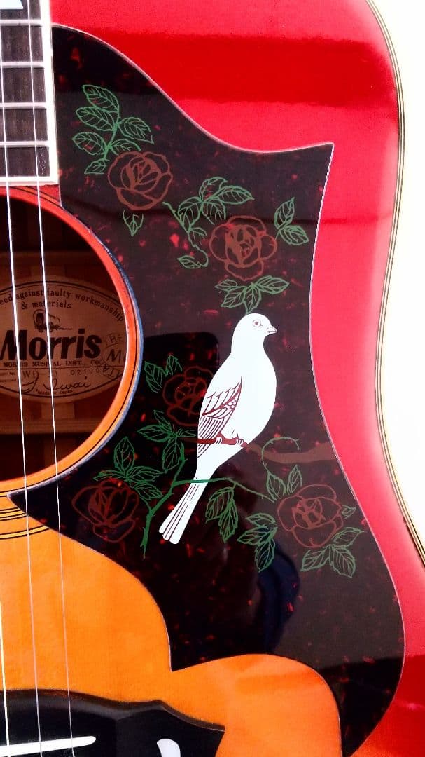 アコースティックギター Morris  WD-30