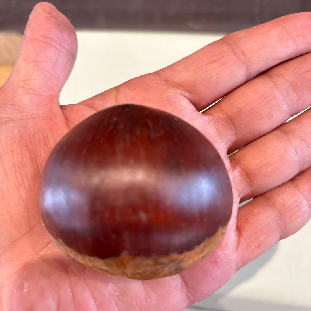 Chokoro様 長野パープル2