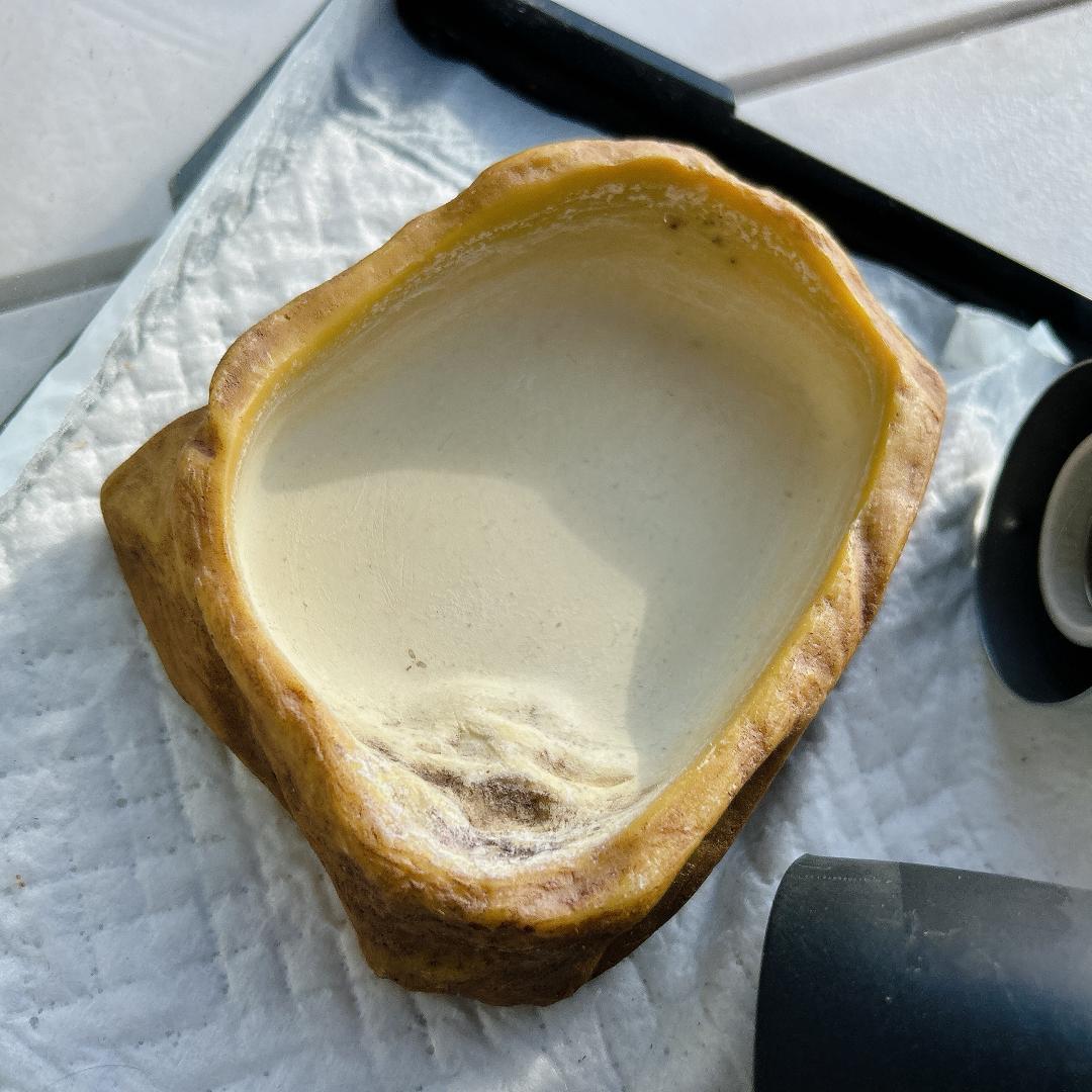 爬虫類飼育ケージ ライト インテリアセット 60x40x40cm トップテラ？