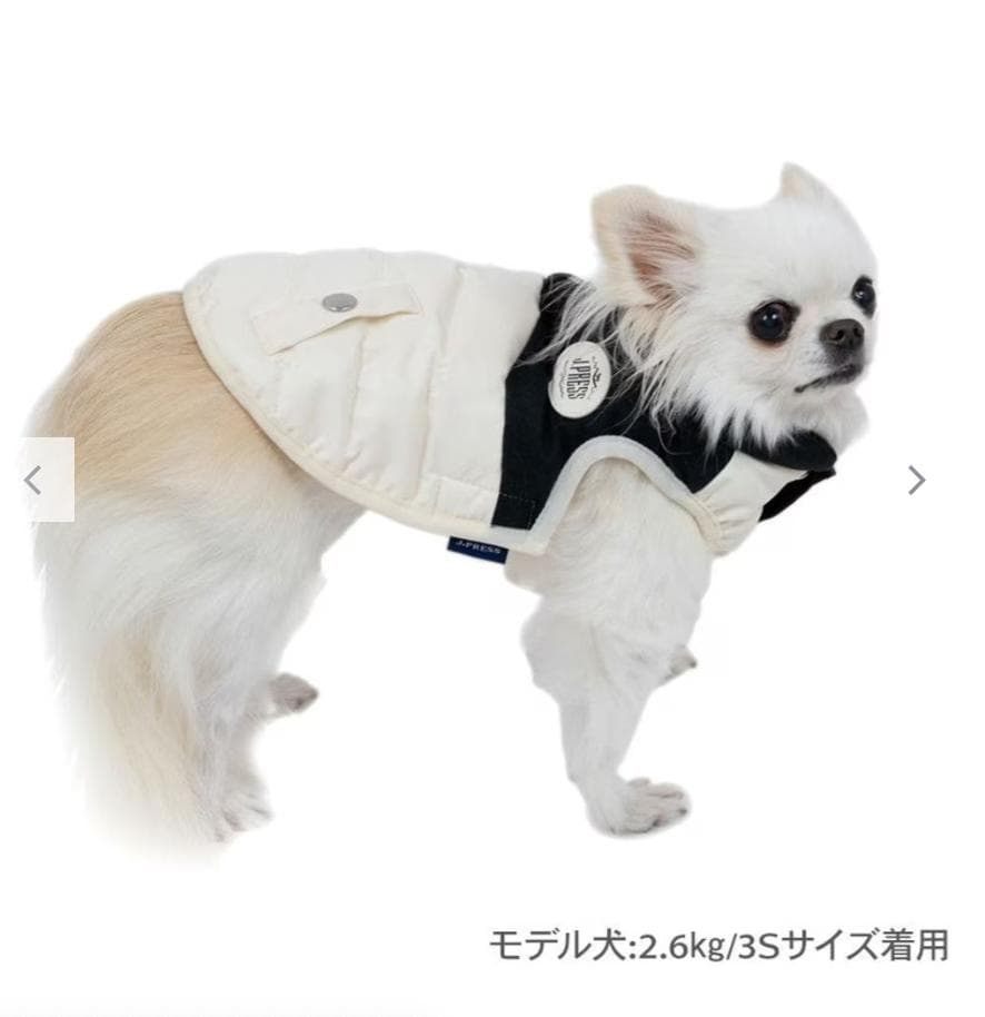 J.PRESS バイカラーベスト 《ホワイト》 3S