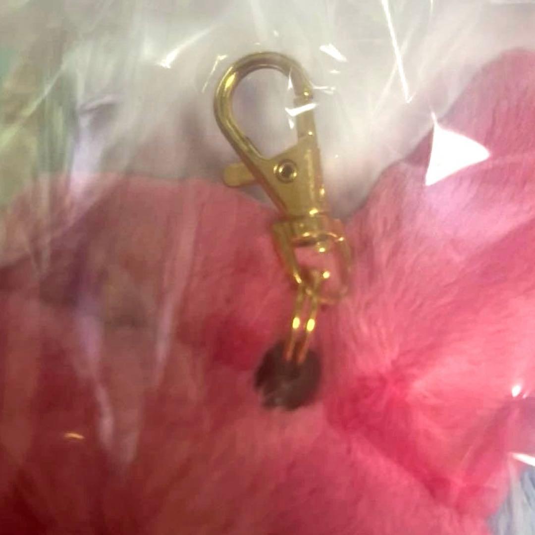 【激レア／非売品】マイメロディ パスケース｜コジマデンキ2万円抽選当選品｜未使用