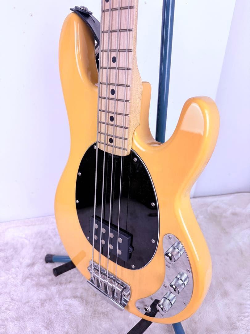 超美品！Sterling by Musicman Ray24CA バタースコッチ