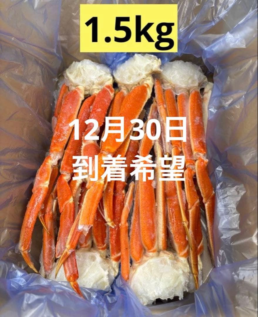 【12月30日到着希望】キミ 1.5kg