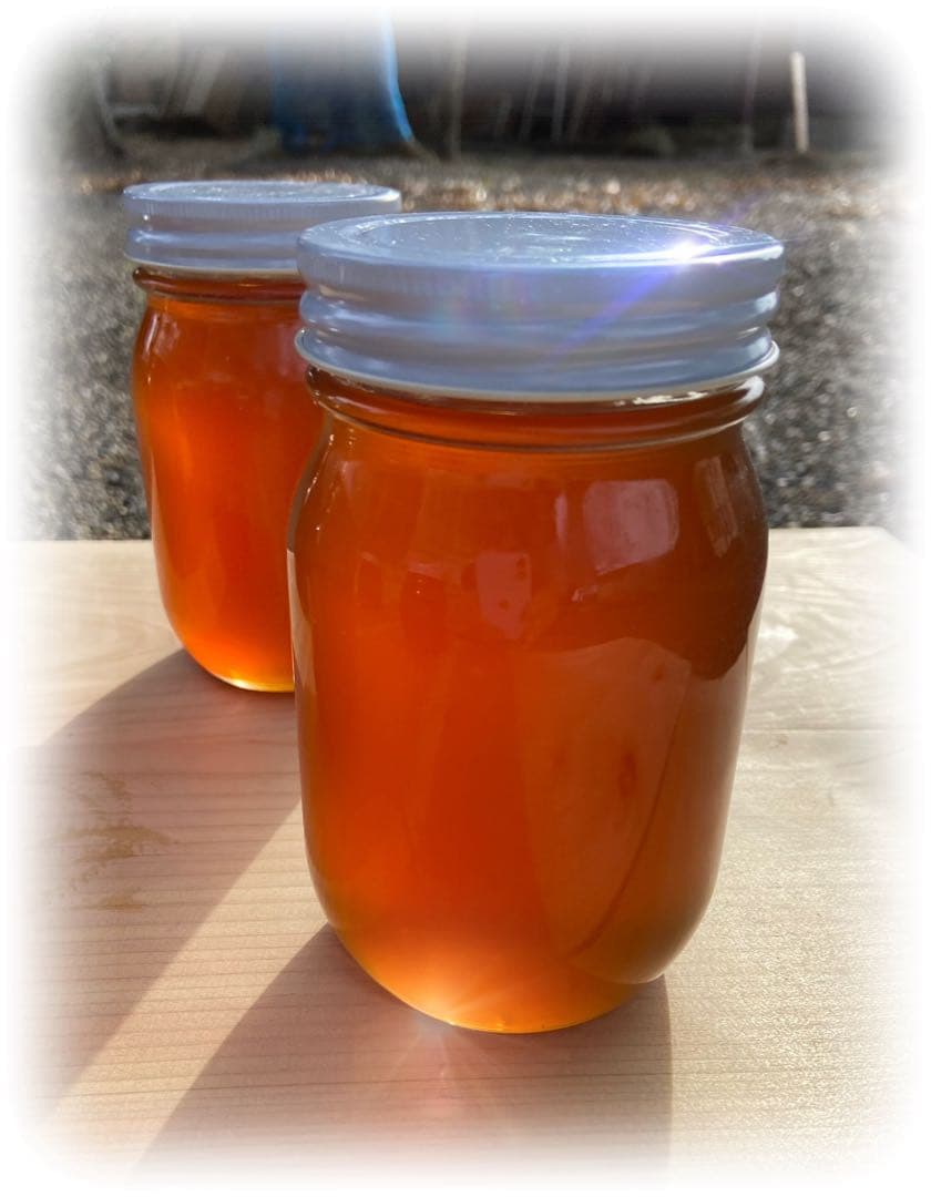 日本蜜蜂 純正ハチミツ 宮崎産山蜜　600g×2