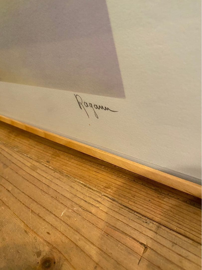 Alain Ragaru リトグラフ 額縁 インテリア ランの盛花