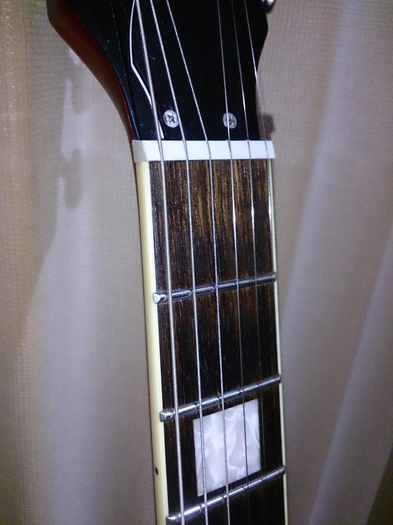 【ハードケース付属】 Burny SRSA65 ES-335タイプ