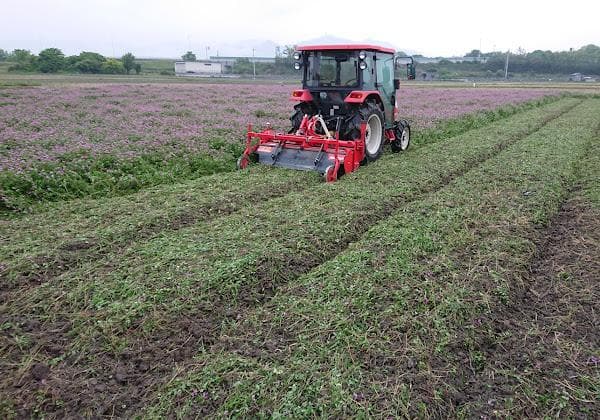 新米　兵庫播州れんげ米　きぬむすめ　７年産　精米　極1等米２0Kg　農直送料無料