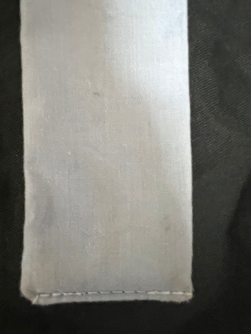 笹*秀様 ダイワ　ヘラブナ竿 HERA S F-SPEC　fスペック　ヘラS　八