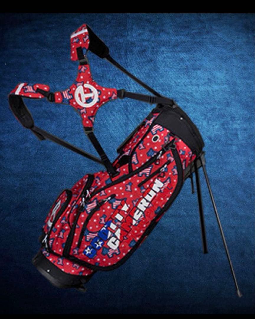 値下げ⭐️キャメロンスタンドバッグ サークルT ヘッドカバー＆パターカバーのセット
