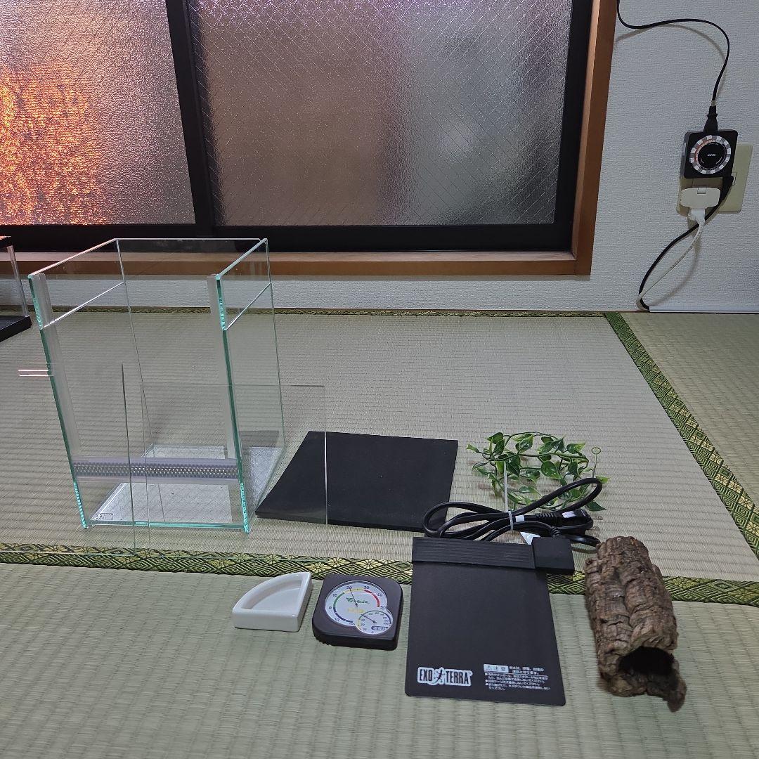 GEX エキゾテラ レプテリアクリアネオフィット180一式セット