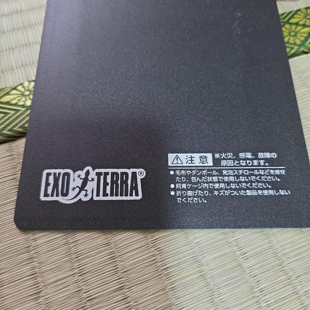 GEX エキゾテラ レプテリアクリアネオフィット180一式セット