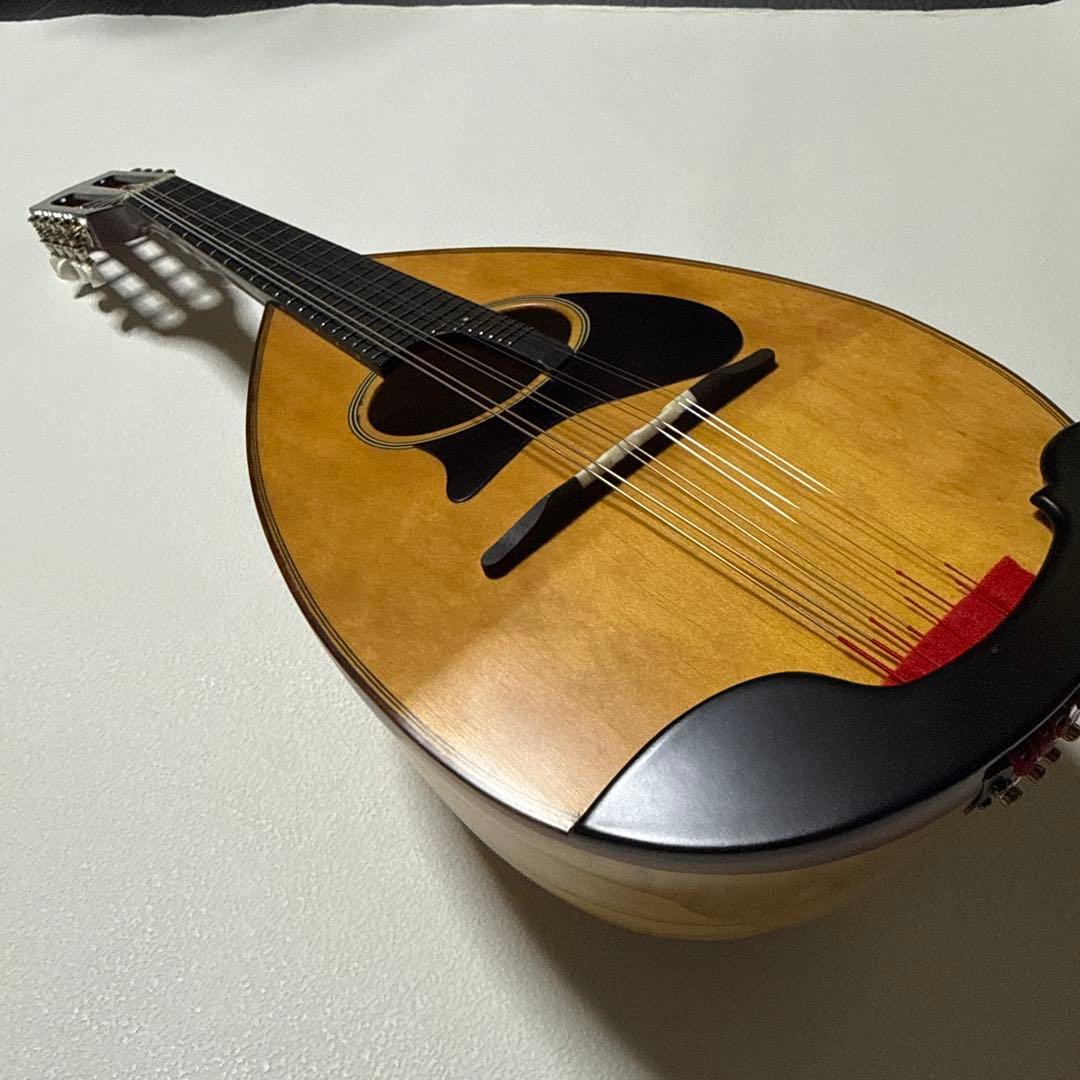 【わたあめ】恵那マンドリン 本体　恵那楽器EM-40 ハードケース付