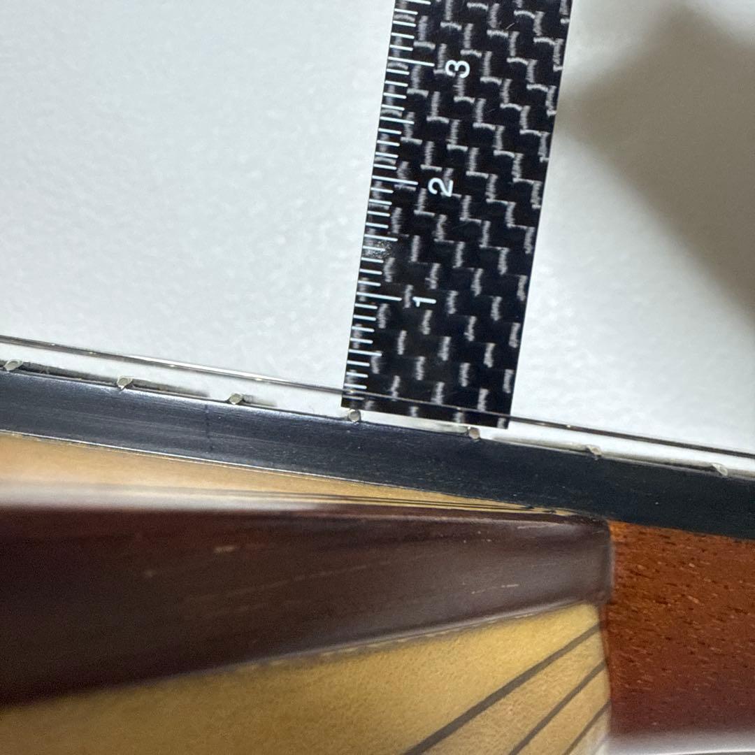 【わたあめ】恵那マンドリン 本体　恵那楽器EM-40 ハードケース付