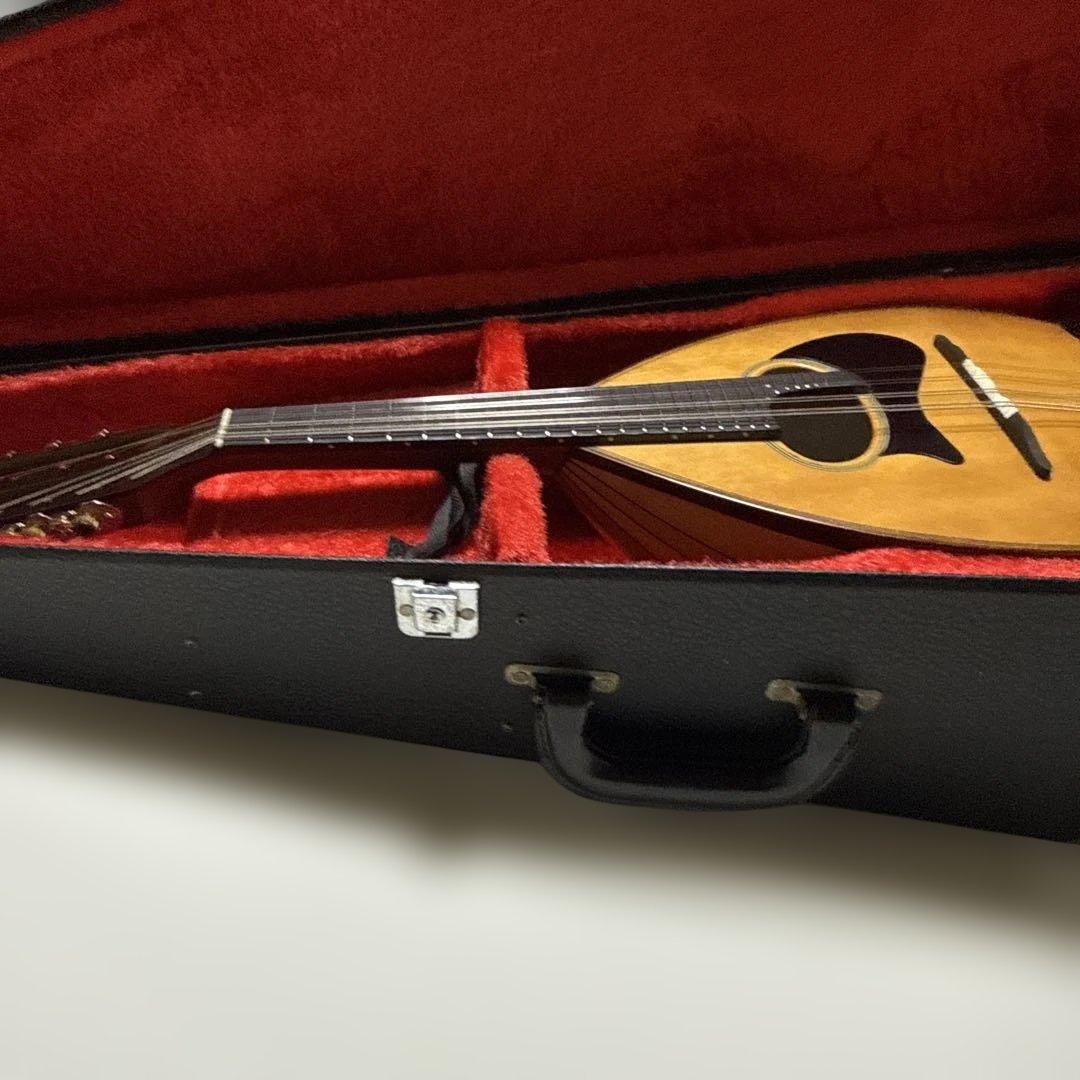 【わたあめ】恵那マンドリン 本体　恵那楽器EM-40 ハードケース付