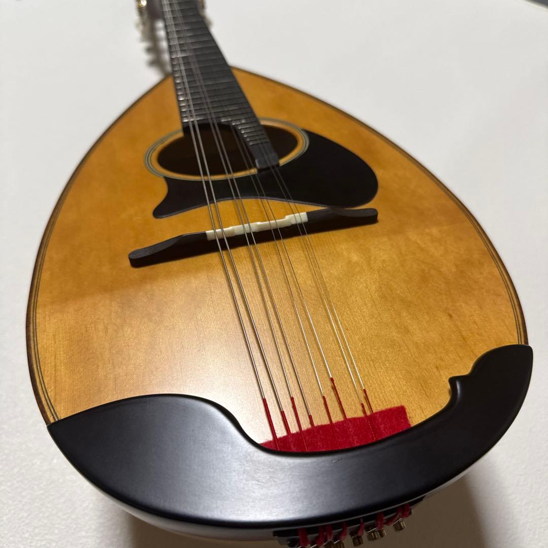 【わたあめ】恵那マンドリン 本体　恵那楽器EM-40 ハードケース付