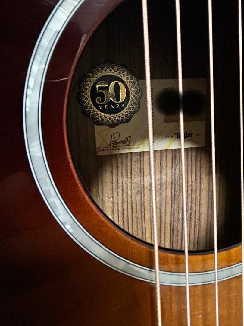 Taylorエレアコ217e plus Ltd 50thアニバーサリー