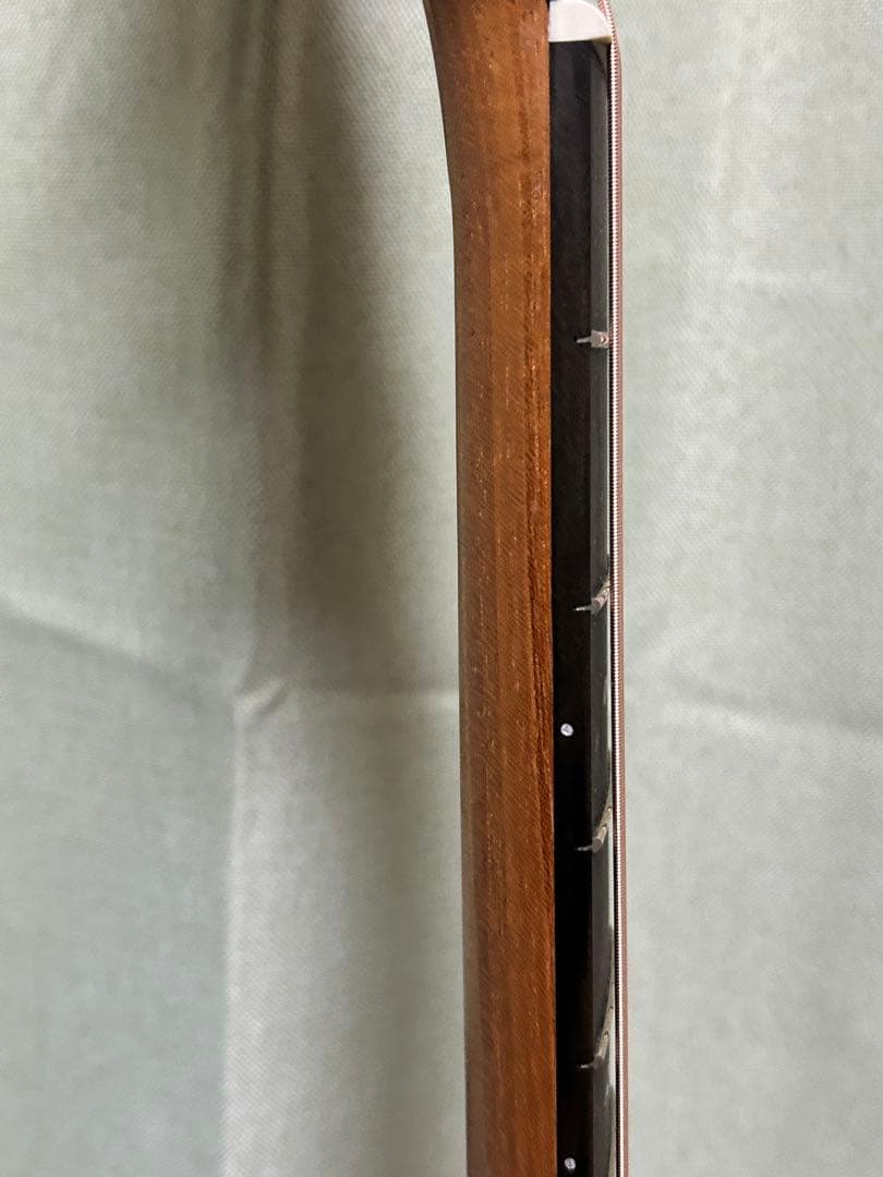 Taylorエレアコ217e plus Ltd 50thアニバーサリー