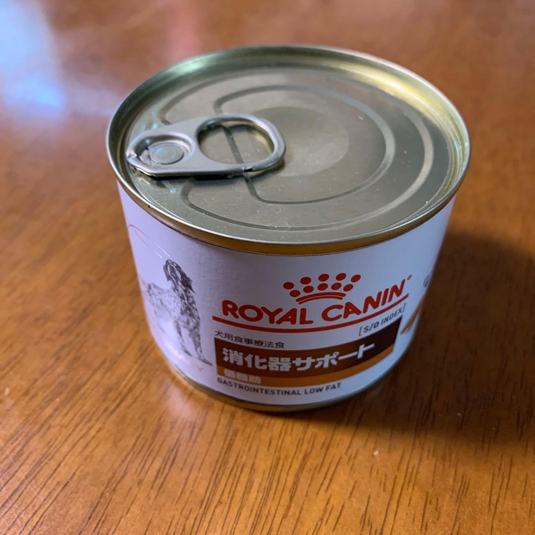  CANIN 消化器サポート低脂肪1kgと缶詰１５缶