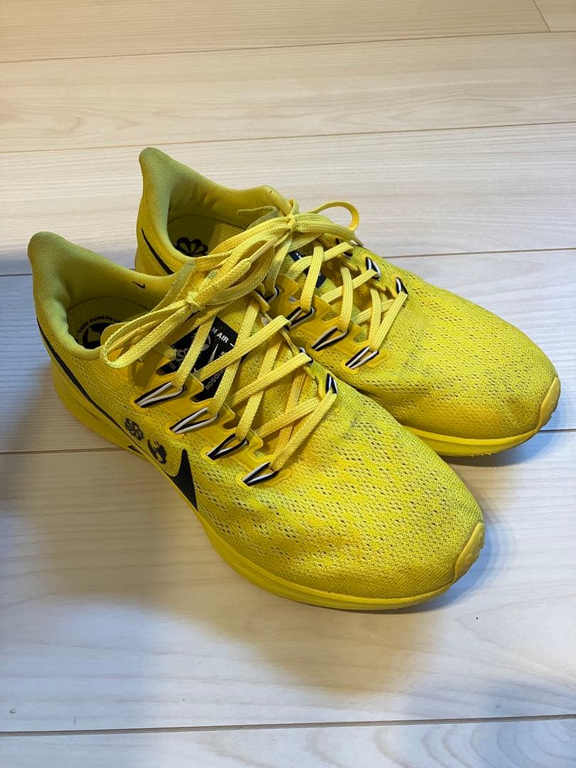 NIKE ペガサス36 コーディハドソン