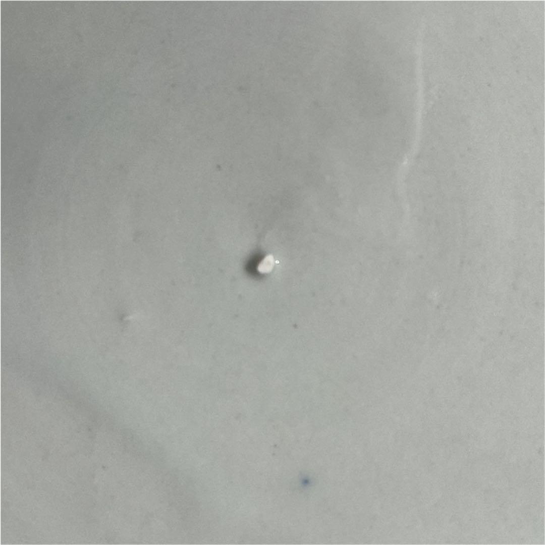 印判　染付大皿　花鳥図