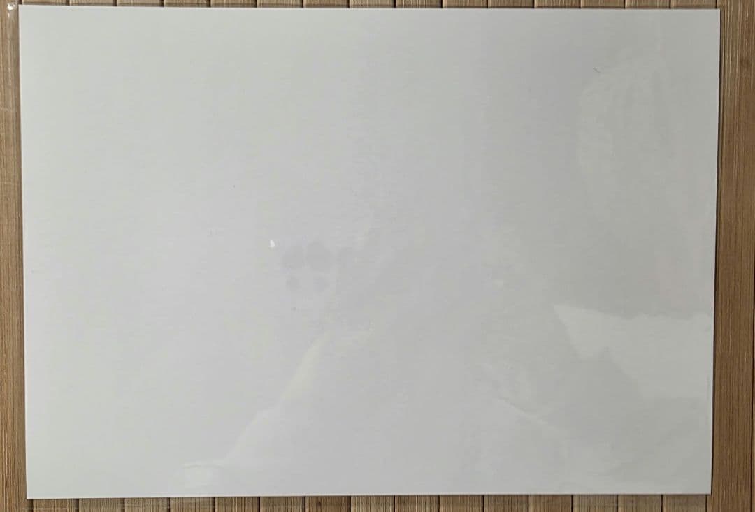 コミックアライブ 購入特典 ペーパーペンシルボード ⑦