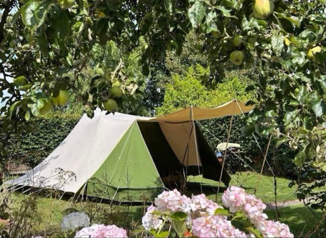 RANDSTAD BUNZING 検:デワード ビンテージテント dewaard