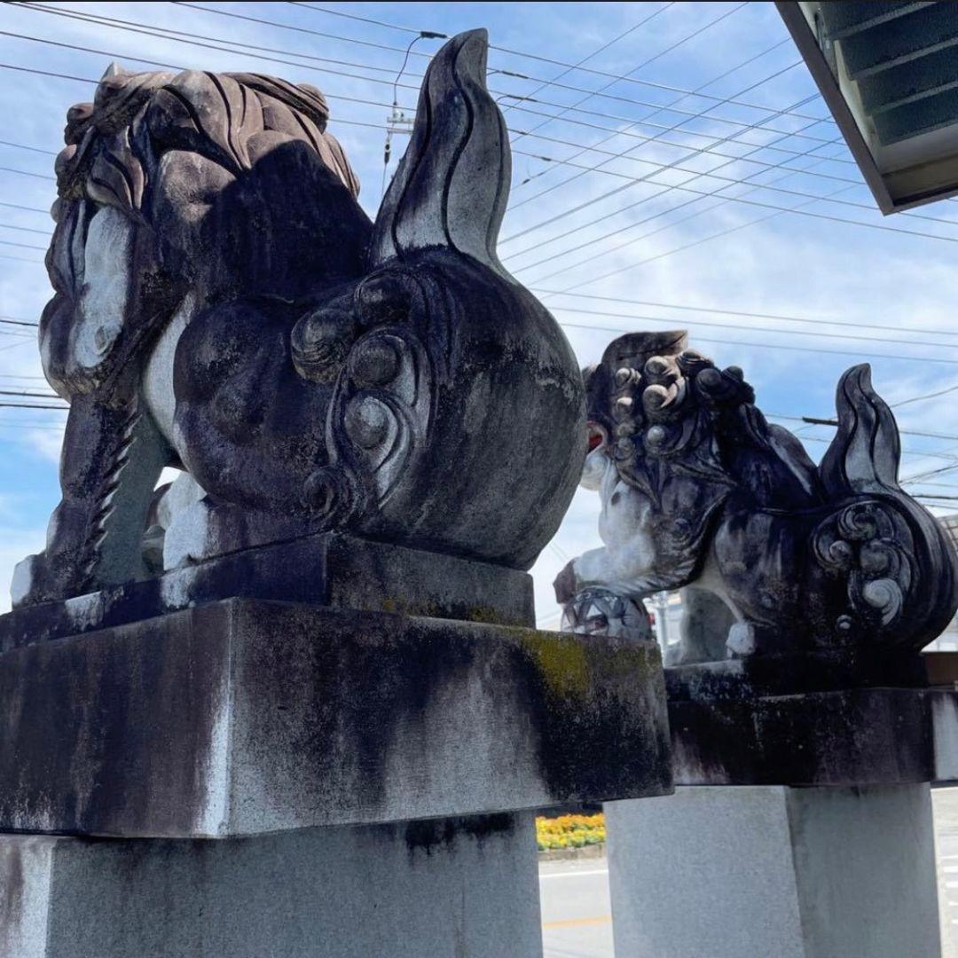 引き取り限定 狛犬 子供 玉付き 特大 石像 台付き 1対