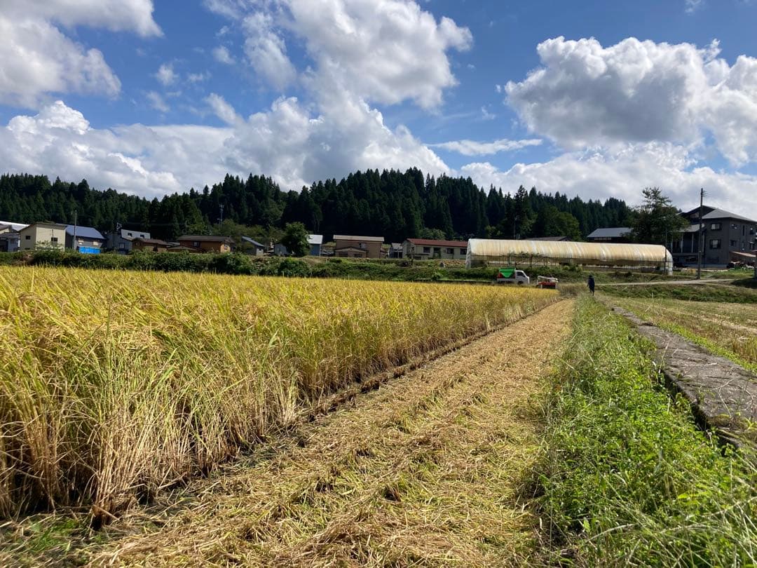 魚沼産コシヒカリ 玄米30kg