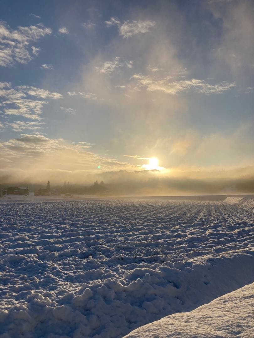 魚沼産コシヒカリ 玄米30kg