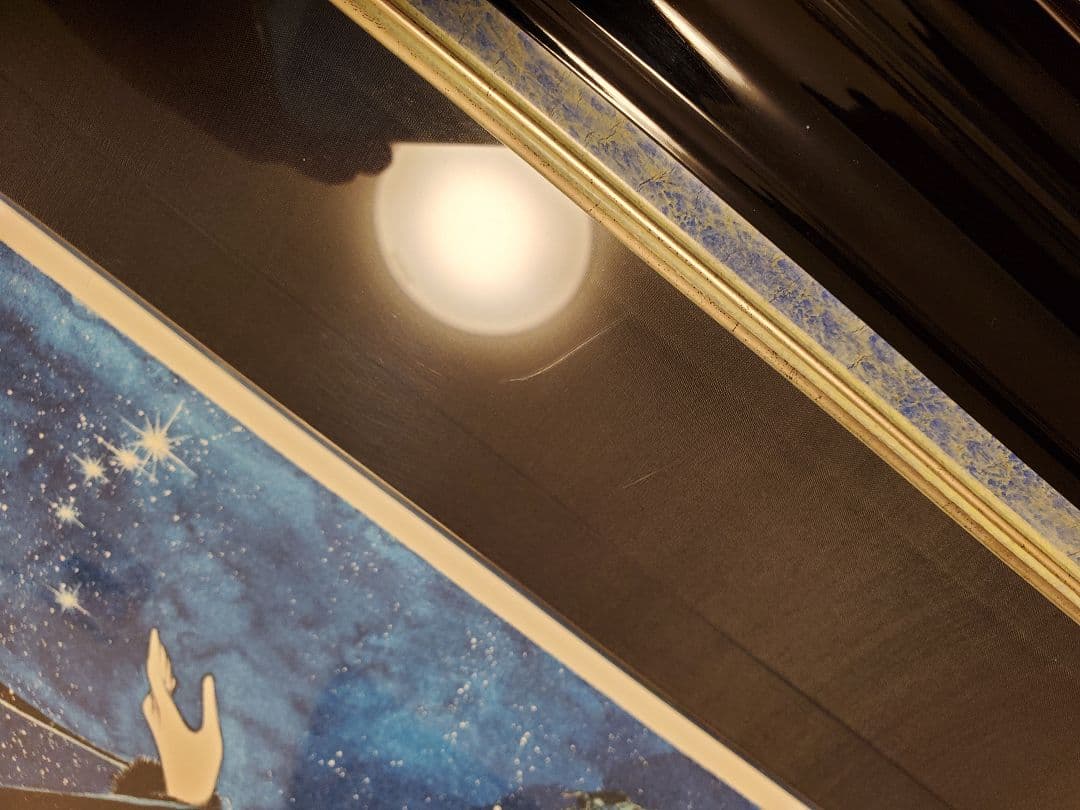 証明書付 銀河鉄道999 松本零士 シルクスクリーン 黒の妖精 メーテル