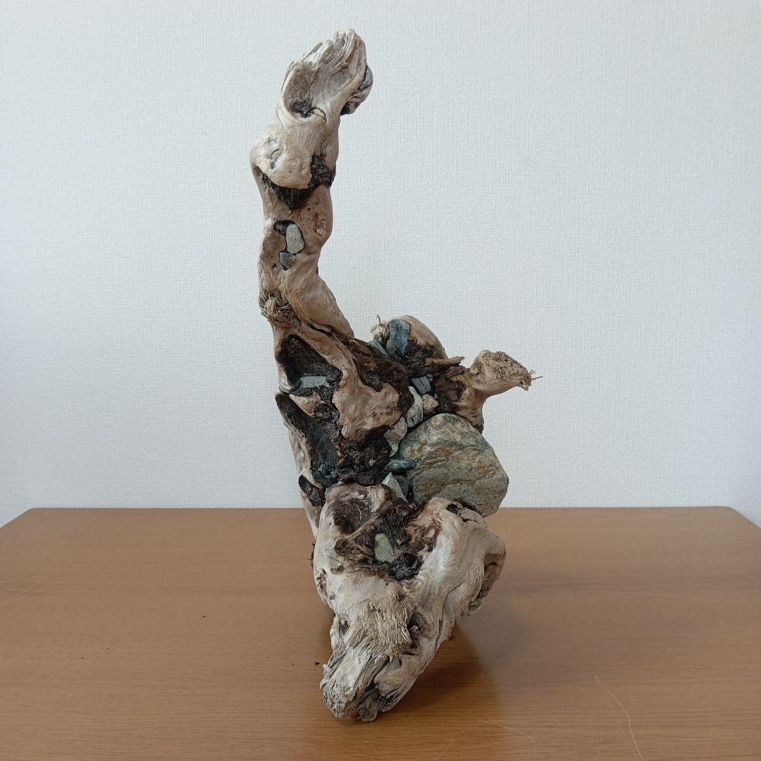 流木　石抱き　NO.95