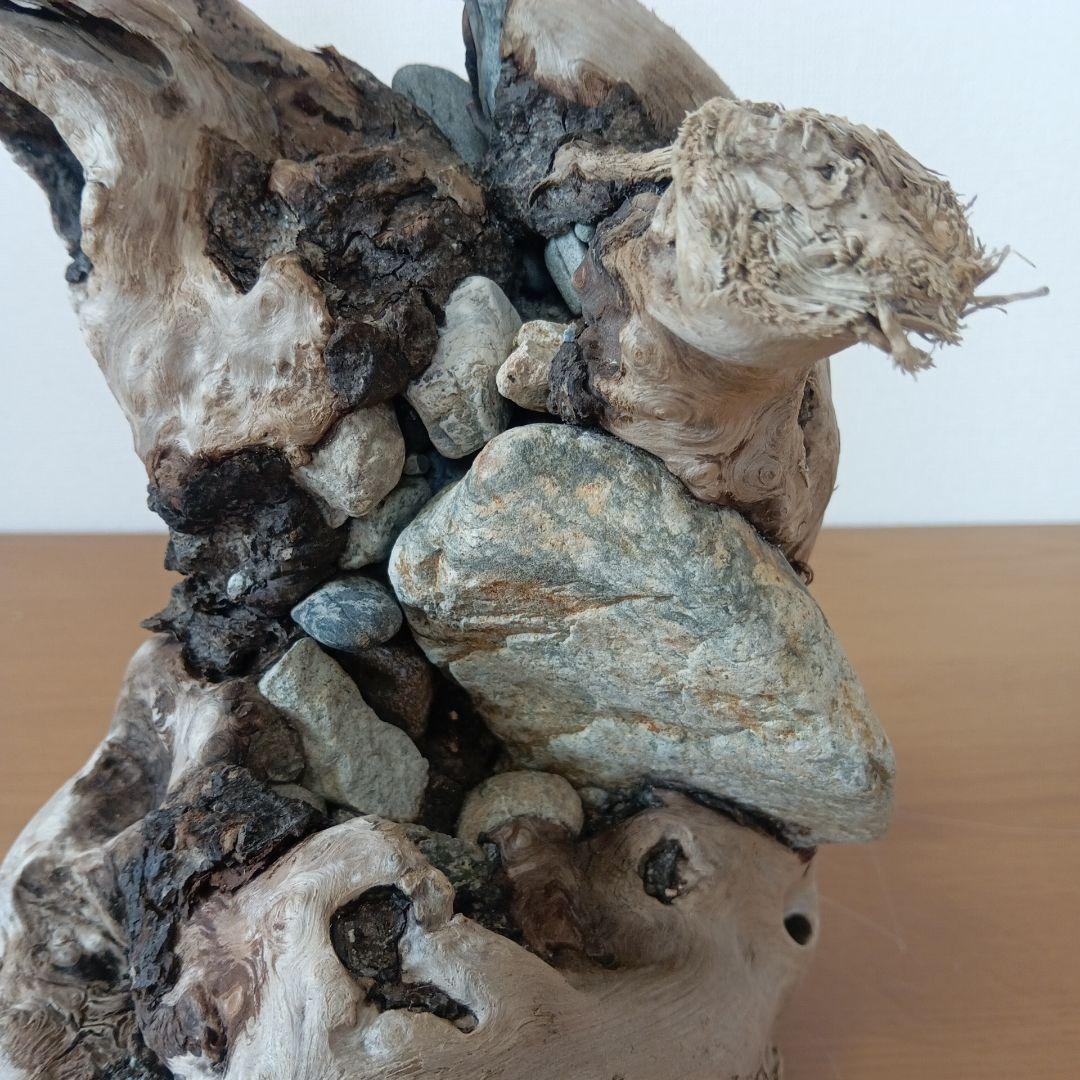 流木　石抱き　NO.95