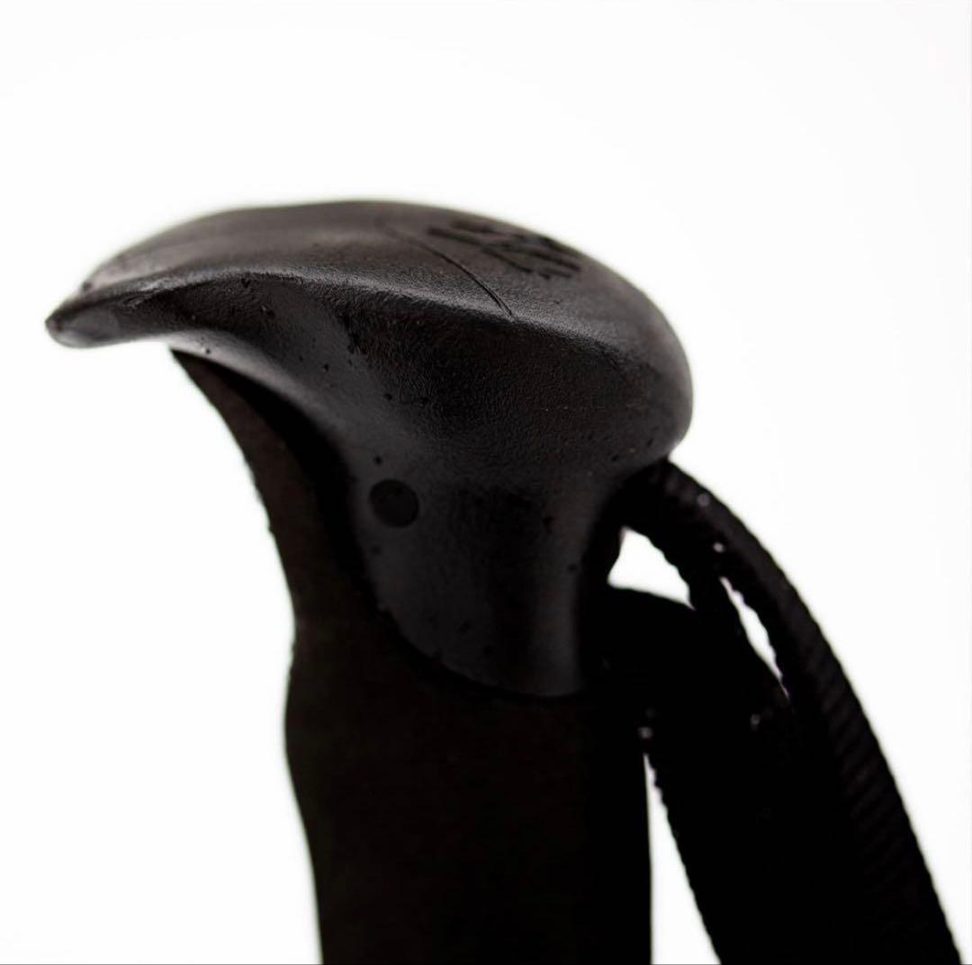 新品未使用 JONES Talon Splitboard Poles