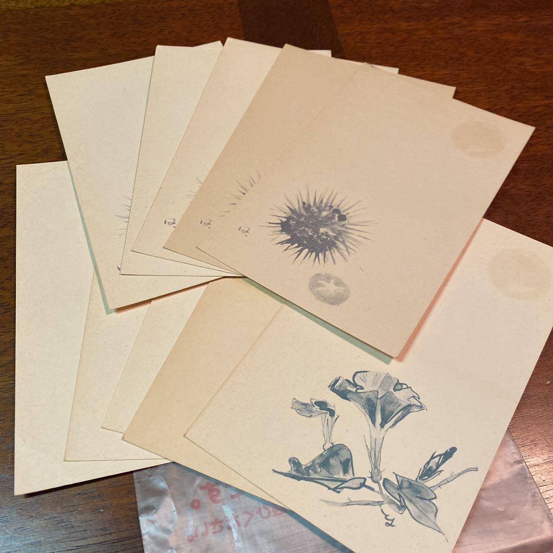 <ウニ・アサガオ> 昭和34年 1959年　郵便はがき　絵葉書　未使用10枚