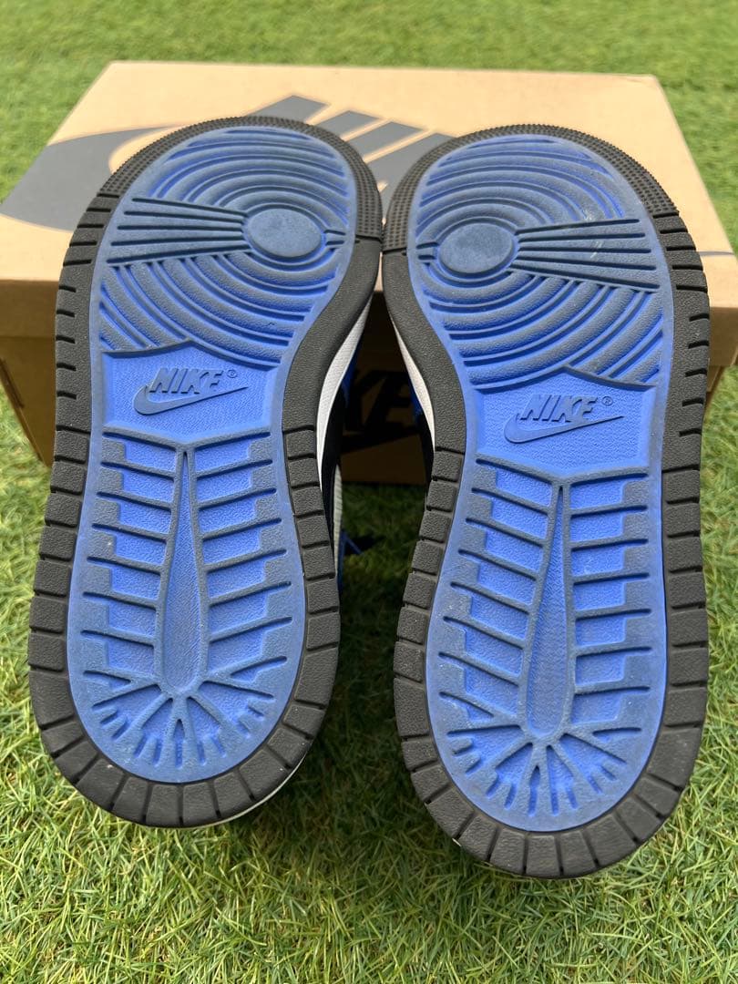 ウィメンズAJ1ズームエアコンフォートSE