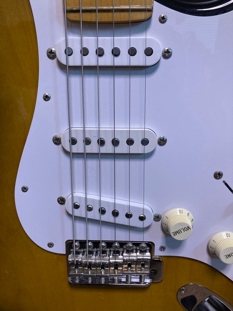 History Z1M-CFS 2TS 厚手専用ケース付き フジゲン製造