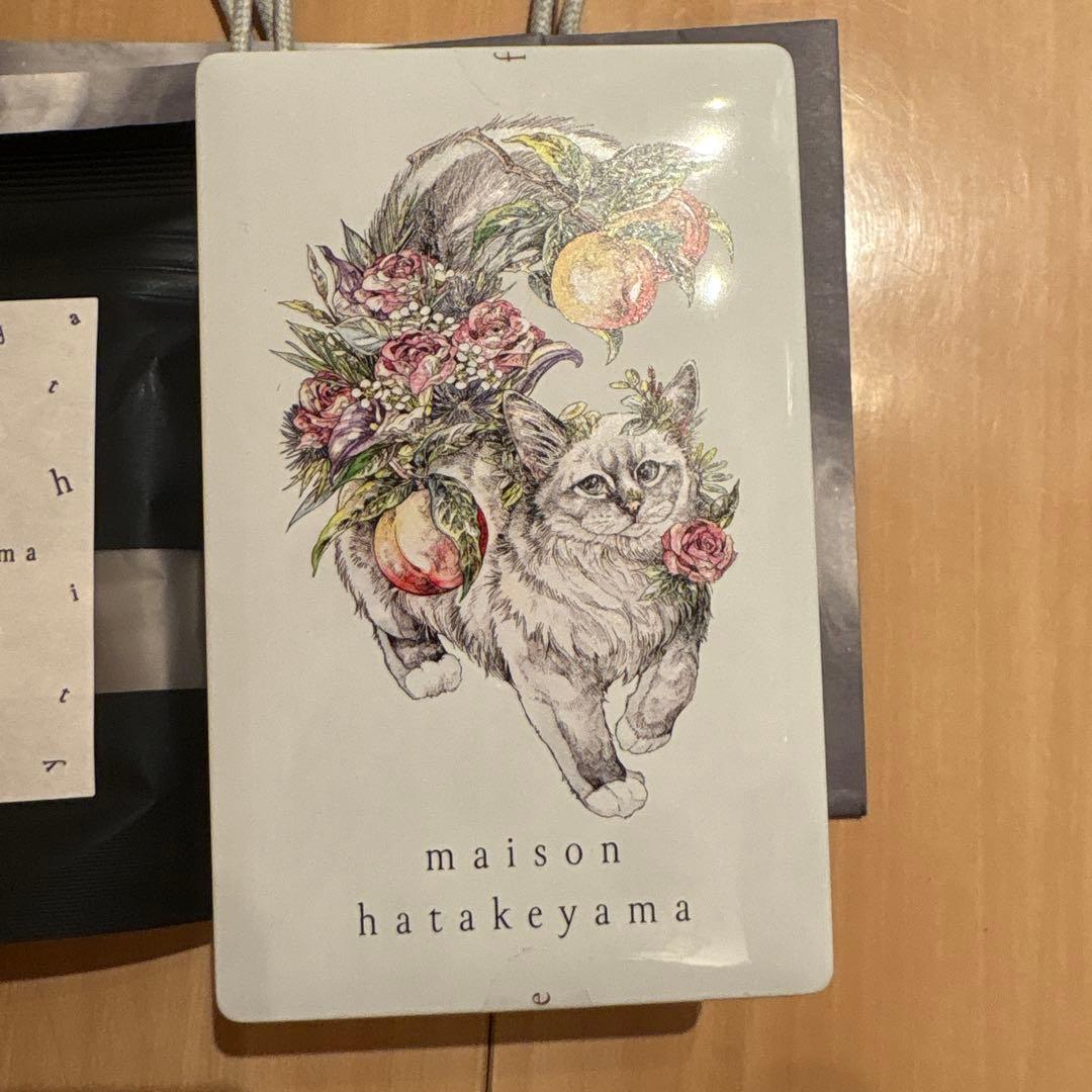 【完売品】サロンデュショコラ　サブレ　メゾン　メゾンハタケヤマ　タブレット