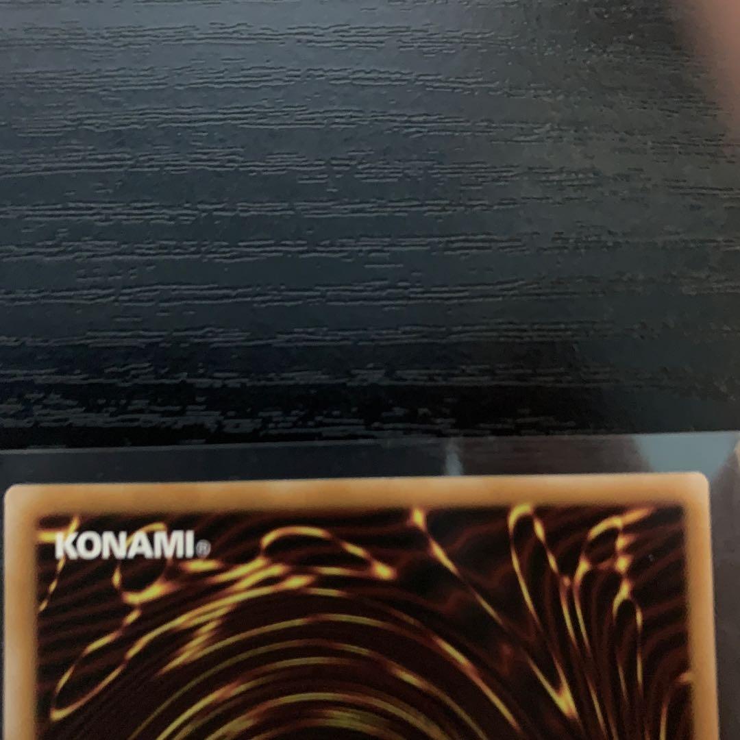 エルフェンノーツ　レギナ　プリシク