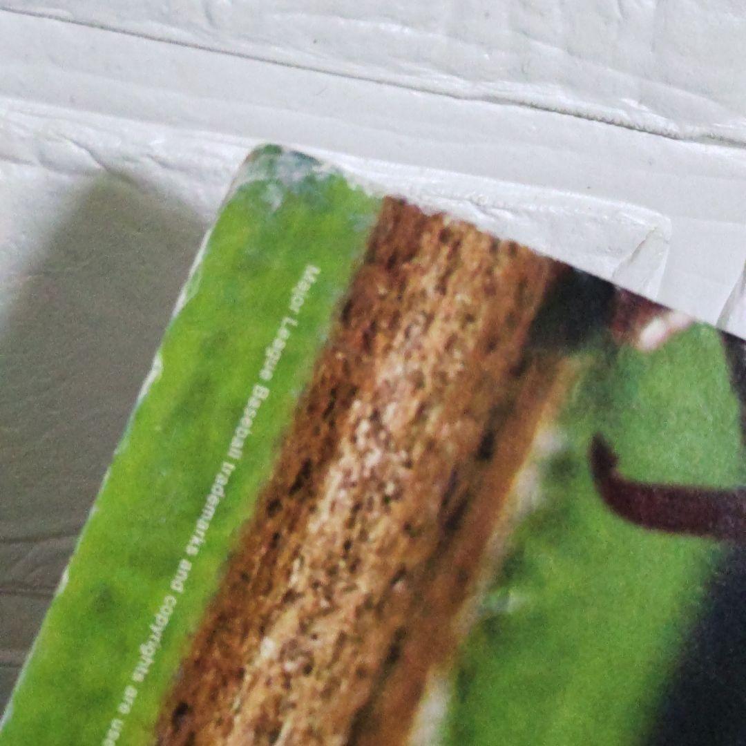 松井 秀喜×野菜生活(KAGOME)のPOP【ヴィンテージ】