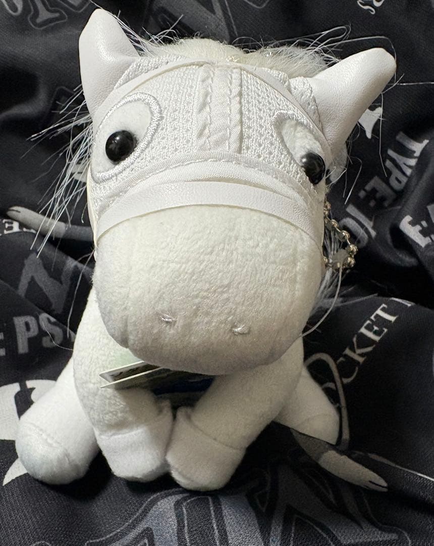 ソダシ　アイドルホース阪神ジュベナイルフィリーズ　Sサイズ、Lサイズセット