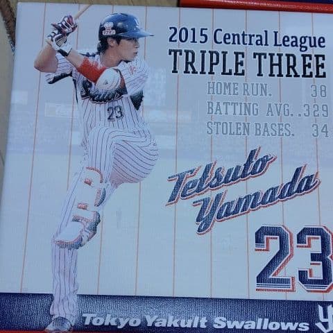 2015年ヤクルトスワローズ 打者３部門アートパネル