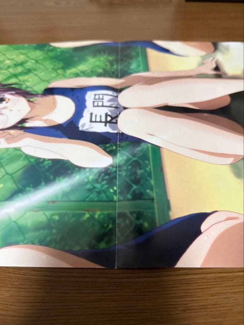 涼宮ハルヒの消失 長門有希 ポスター レア