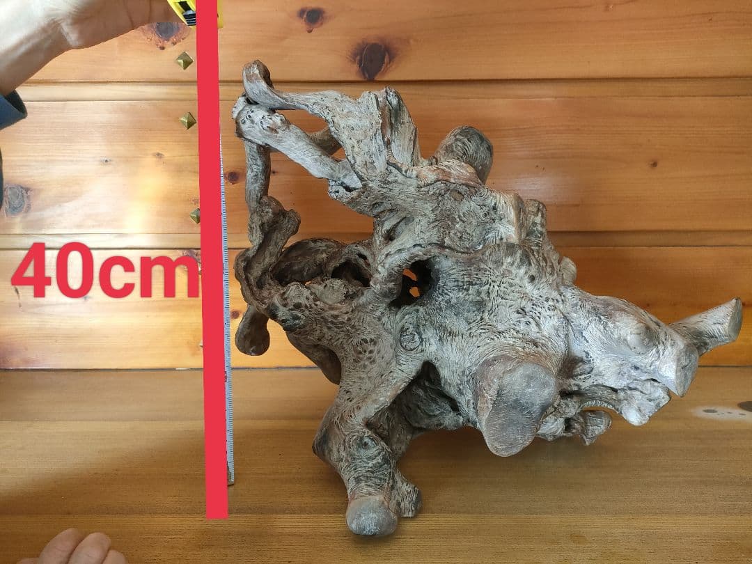 年末セール★大型流木